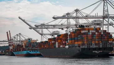 Import & Sourcing